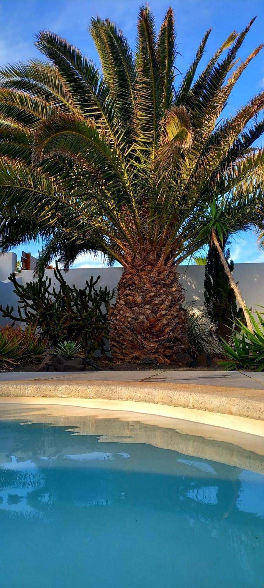 Villa Casa Alizee, Heated Pool, Hot Tub Playa Blanca  Exterior foto